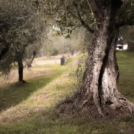 Bed & Breakfast Le Molina Massa e Cozzile