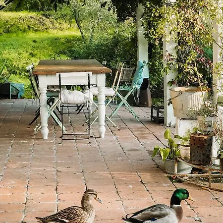 Le Molina Bed & Breakfast