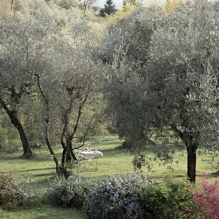 Le Molina 3* Massa e Cozzile