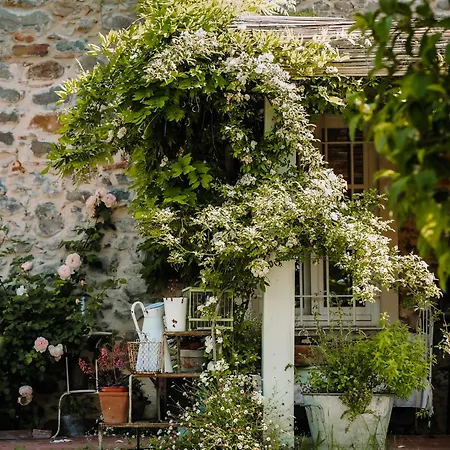 Le Molina Bed & Breakfast