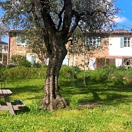 Le Molina 3* Massa e Cozzile