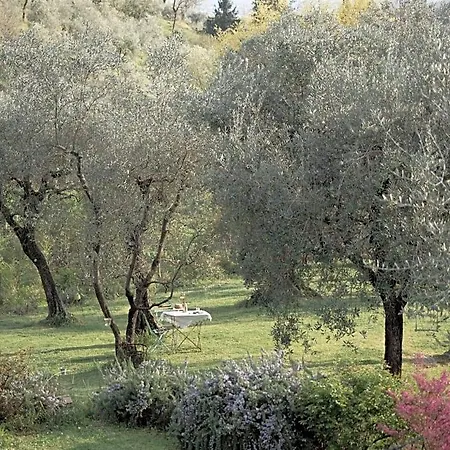 Le Molina 3*