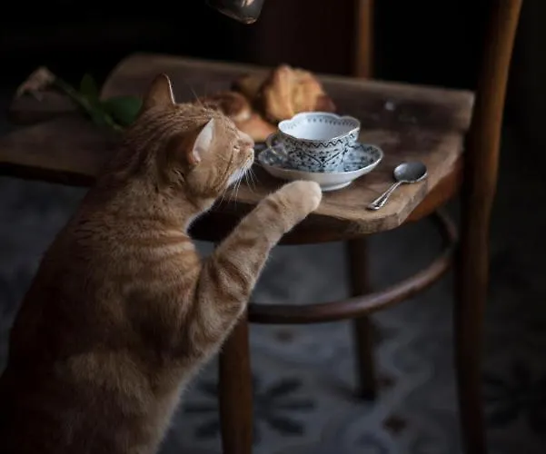 Le Molina 3* Massa e Cozzile