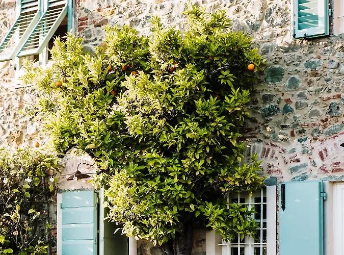 Le Molina 3*