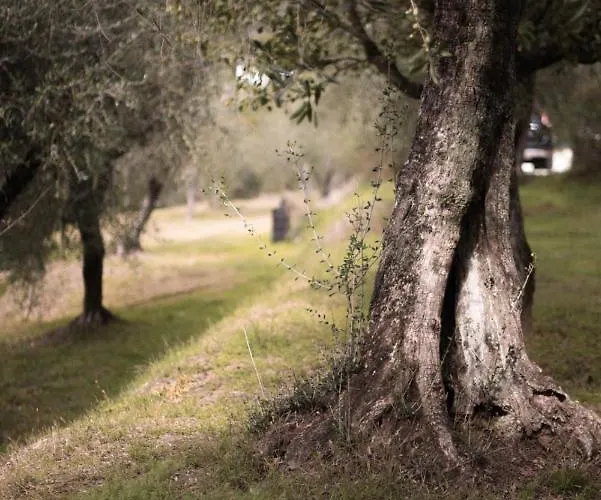 فندق مبيت وإفطار Le Molina Massa e Cozzile