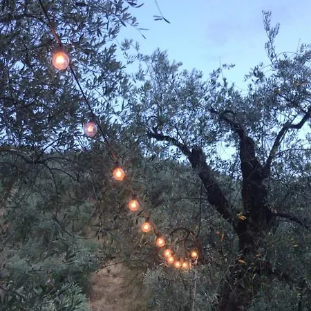 Le Molina Massa e Cozzile